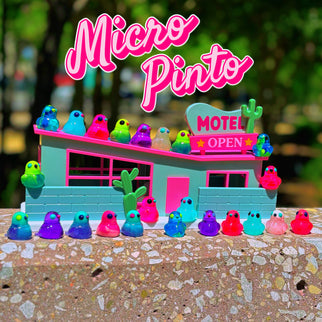 Micro Pintos