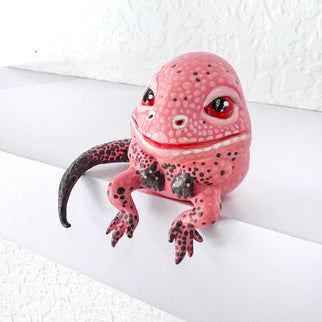 The Naughty Rabbit - Conall the pink land iguana,