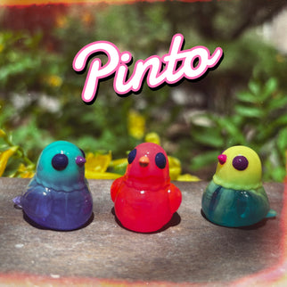 Micro Pintos