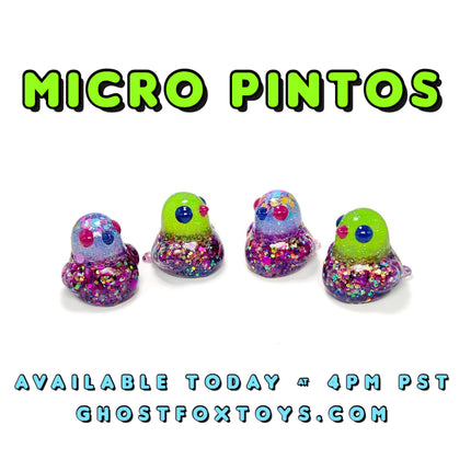 Micro  pintos
