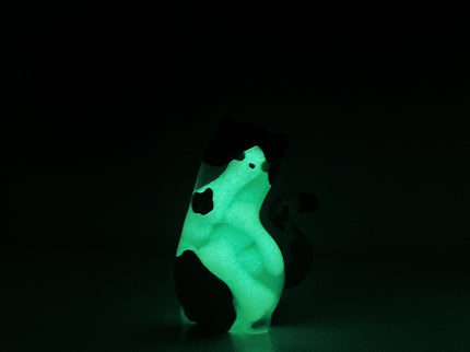 Glow Bones Tuxie #1