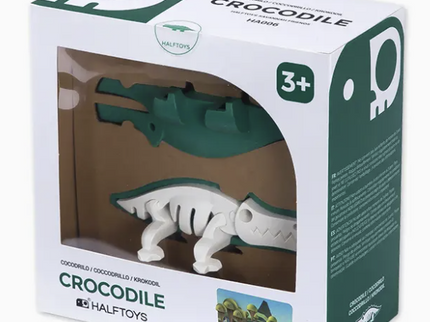 Crocodile