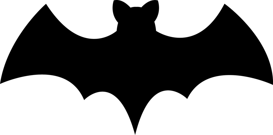 test listing for auction